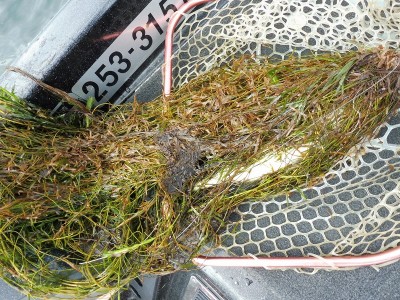 truth smiley_fishing_report ブログ写真 2015/09/04