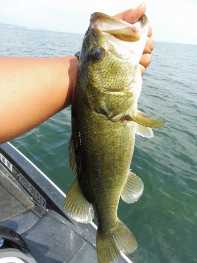 truth smiley_fishing_report ブログ写真 2015/09/04