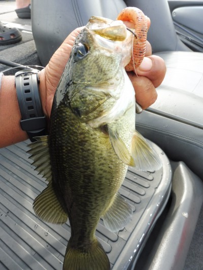 truth smiley_fishing_report ブログ写真 2015/09/05