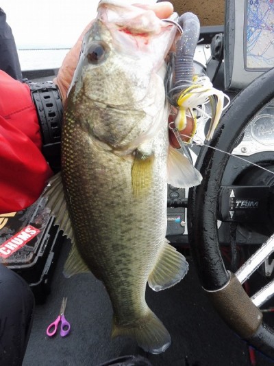 truth smiley_fishing_report ブログ写真 2015/09/06