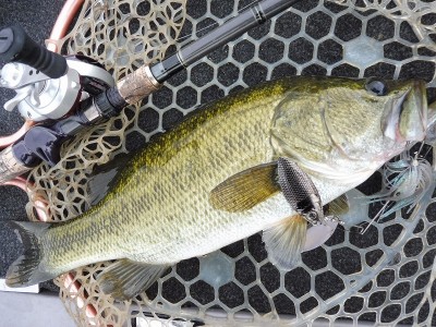 truth smiley_fishing_report ブログ写真 2015/09/07