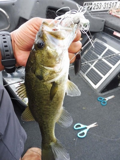 truth smiley_fishing_report ブログ写真 2015/09/07