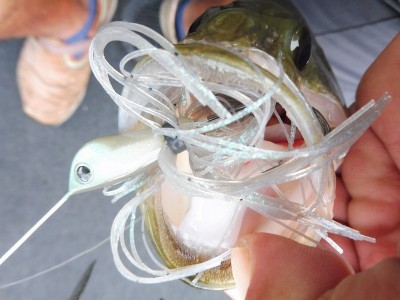 truth smiley_fishing_report ブログ写真 2015/09/07