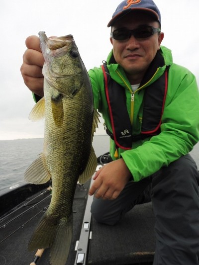 truth smiley_fishing_report ブログ写真 2015/09/08