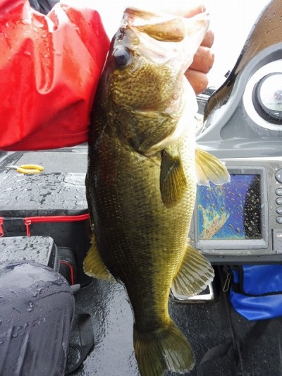 truth smiley_fishing_report ブログ写真 2015/09/08