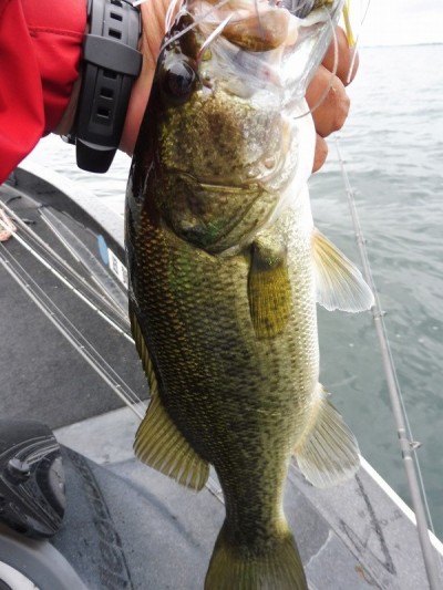 truth smiley_fishing_report ブログ写真 2015/09/08