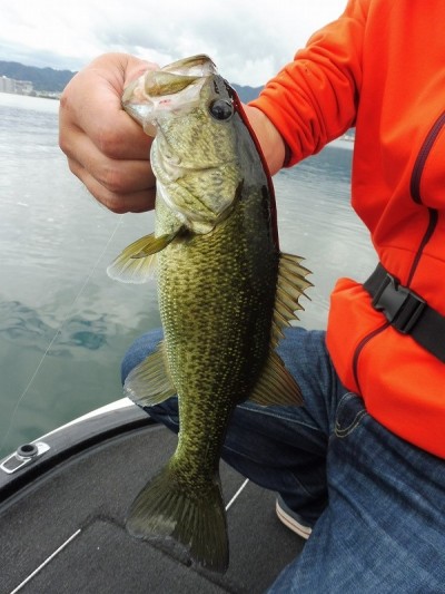 truth smiley_fishing_report ブログ写真 2015/09/10