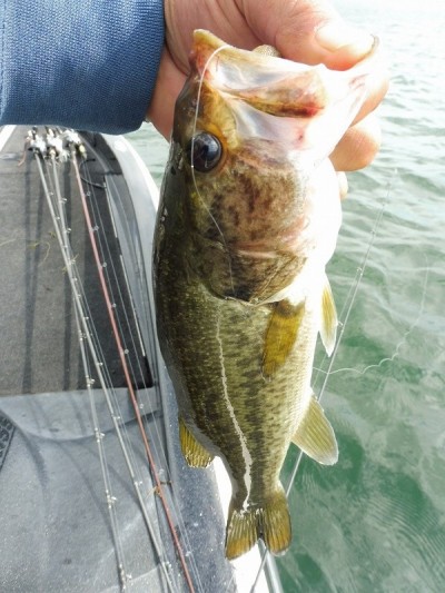 truth smiley_fishing_report ブログ写真 2015/09/11