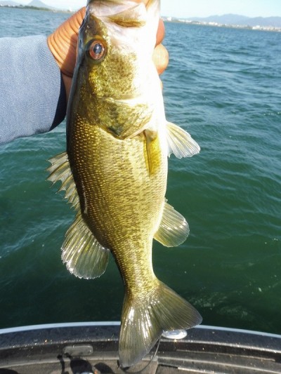 truth smiley_fishing_report ブログ写真 2015/09/11