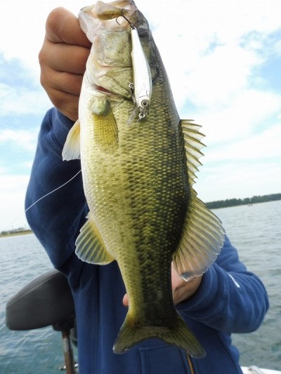 truth smiley_fishing_report ブログ写真 2015/09/12