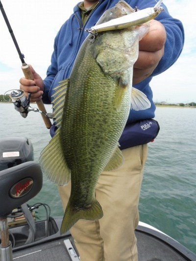 truth smiley_fishing_report ブログ写真 2015/09/12