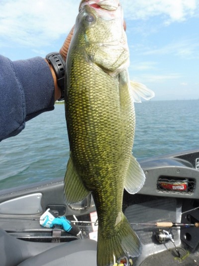 truth smiley_fishing_report ブログ写真 2015/09/12