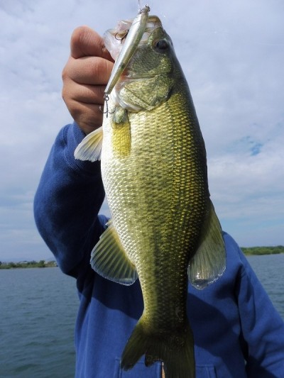 truth smiley_fishing_report ブログ写真 2015/09/12