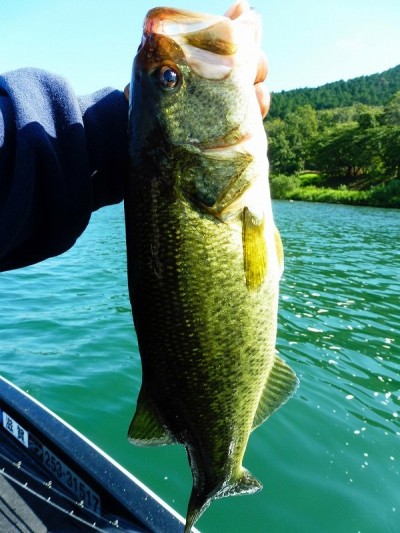 truth smiley_fishing_report ブログ写真 2015/09/12