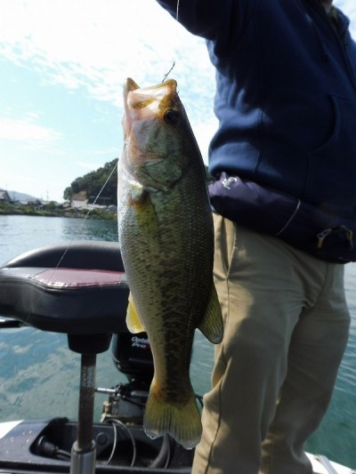 truth smiley_fishing_report ブログ写真 2015/09/12