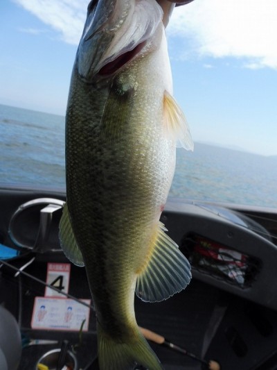 truth smiley_fishing_report ブログ写真 2015/09/12