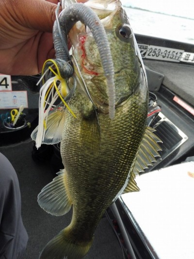 truth smiley_fishing_report ブログ写真 2015/09/13