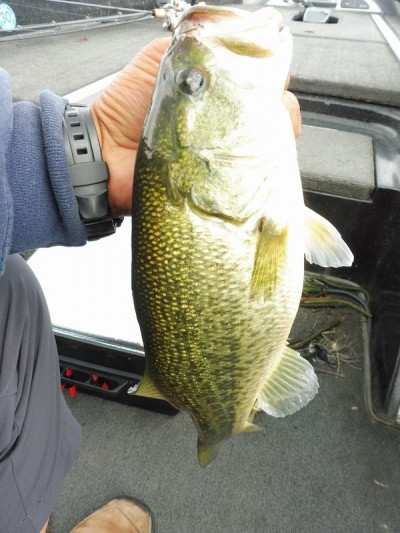 truth smiley_fishing_report ブログ写真 2015/09/13