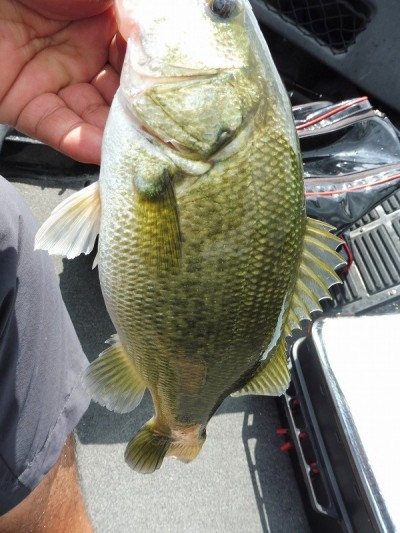 truth smiley_fishing_report ブログ写真 2015/09/13