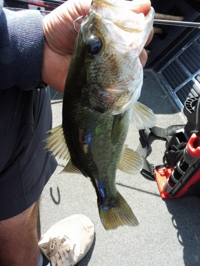 truth smiley_fishing_report ブログ写真 2015/09/14