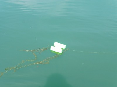 truth smiley_fishing_report ブログ写真 2015/09/14