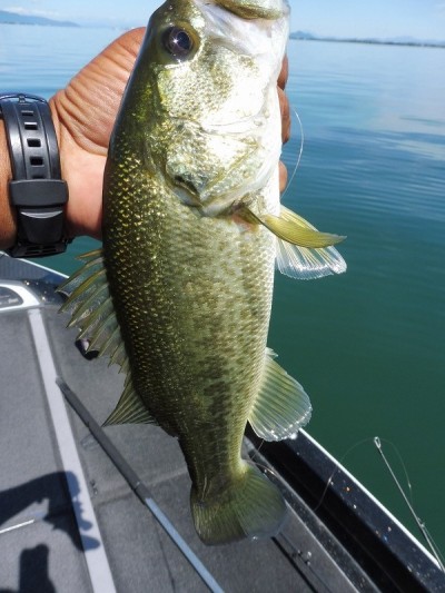 truth smiley_fishing_report ブログ写真 2015/09/14