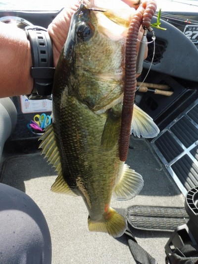 truth smiley_fishing_report ブログ写真 2015/09/14