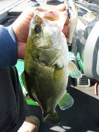 truth smiley_fishing_report ブログ写真 2015/09/19