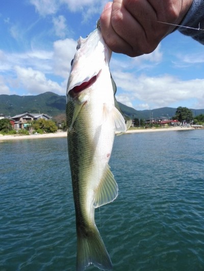 truth smiley_fishing_report ブログ写真 2015/09/19