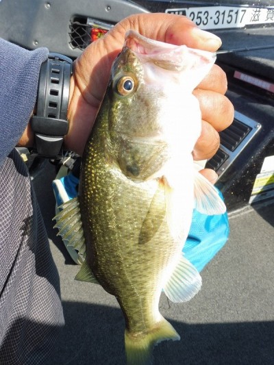 truth smiley_fishing_report ブログ写真 2015/09/21