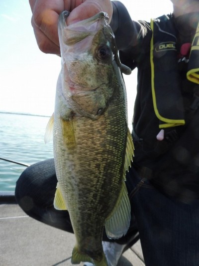 truth smiley_fishing_report ブログ写真 2015/09/21