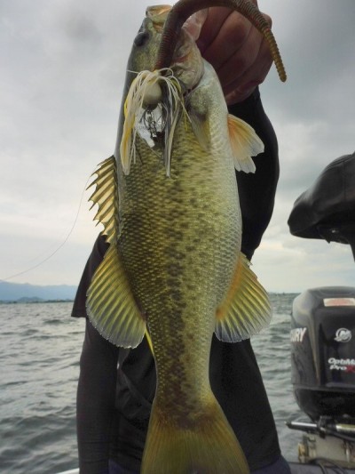 truth smiley_fishing_report ブログ写真 2015/09/21