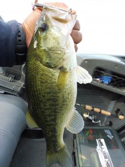 truth smiley_fishing_report ブログ写真 2015/09/23