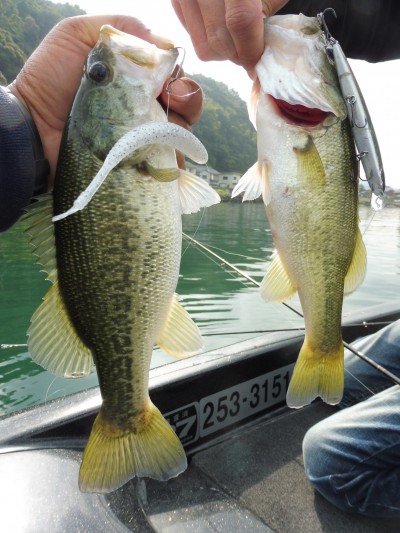 truth smiley_fishing_report ブログ写真 2015/09/23