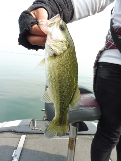 truth smiley_fishing_report ブログ写真 2015/09/23