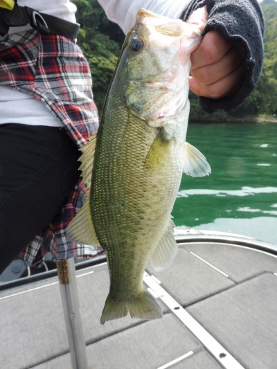 truth smiley_fishing_report ブログ写真 2015/09/23