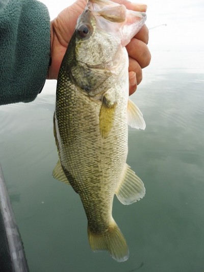 truth smiley_fishing_report ブログ写真 2015/10/01