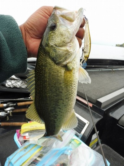 truth smiley_fishing_report ブログ写真 2015/10/01