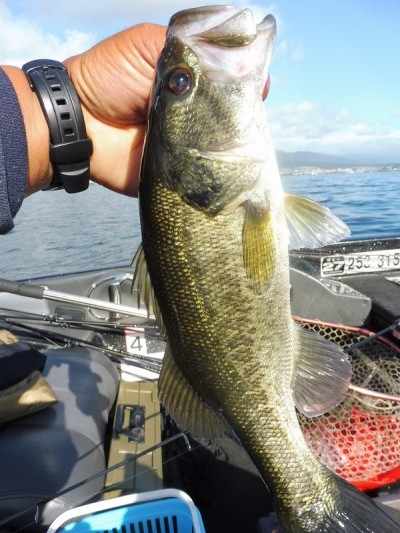 truth smiley_fishing_report ブログ写真 2015/10/02