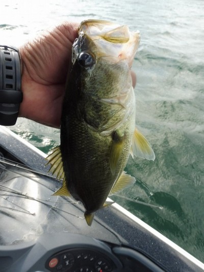 truth smiley_fishing_report ブログ写真 2015/10/02