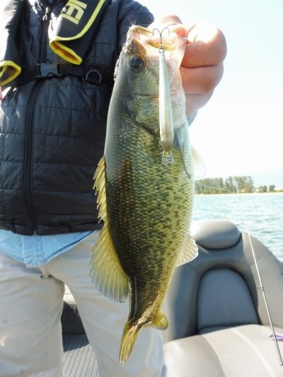 truth smiley_fishing_report ブログ写真 2015/10/03