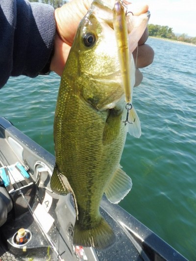 truth smiley_fishing_report ブログ写真 2015/10/03