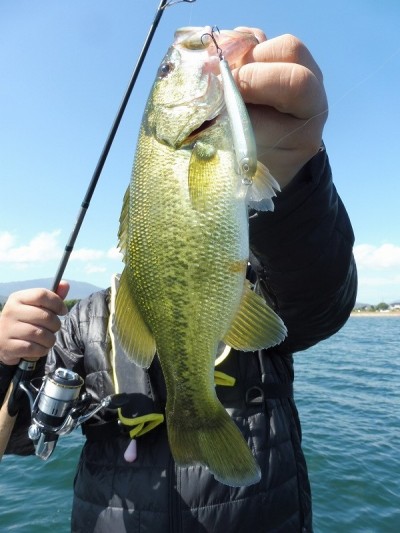 truth smiley_fishing_report ブログ写真 2015/10/03