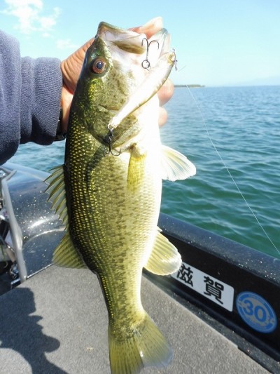 truth smiley_fishing_report ブログ写真 2015/10/03
