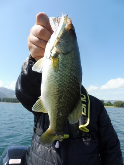 truth smiley_fishing_report ブログ写真 2015/10/03