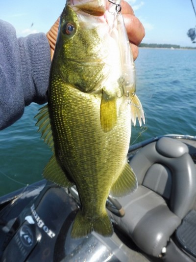 truth smiley_fishing_report ブログ写真 2015/10/03