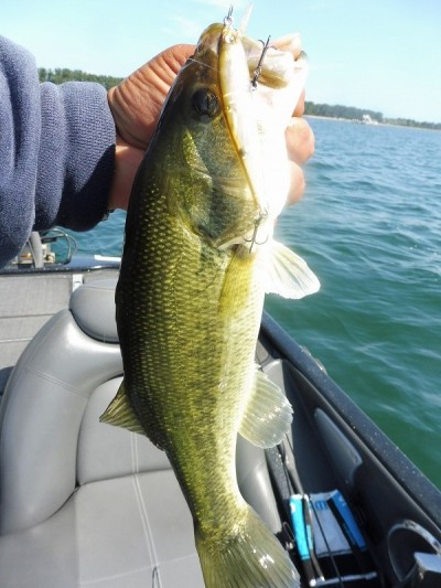 truth smiley_fishing_report ブログ写真 2015/10/03