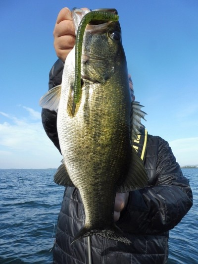 truth smiley_fishing_report ブログ写真 2015/10/03