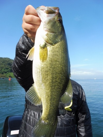 truth smiley_fishing_report ブログ写真 2015/10/03