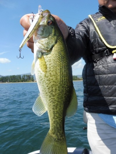 truth smiley_fishing_report ブログ写真 2015/10/03